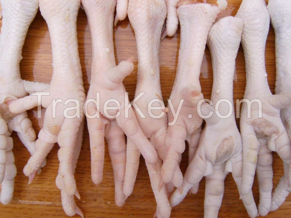 Bulk  Frozen Chicken Feet / Chicken Paws For Sale