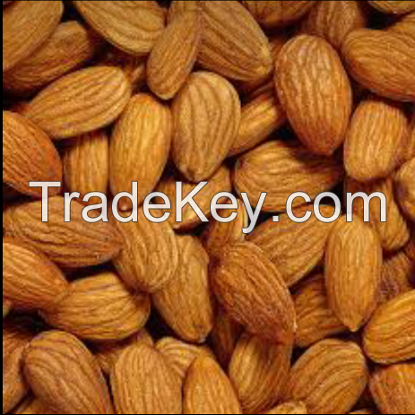 Raw Almonds Kernels Nuts