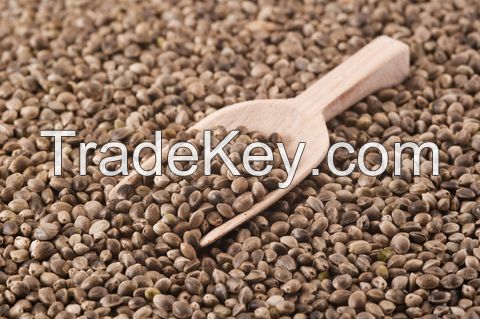 HEMPSEEDS