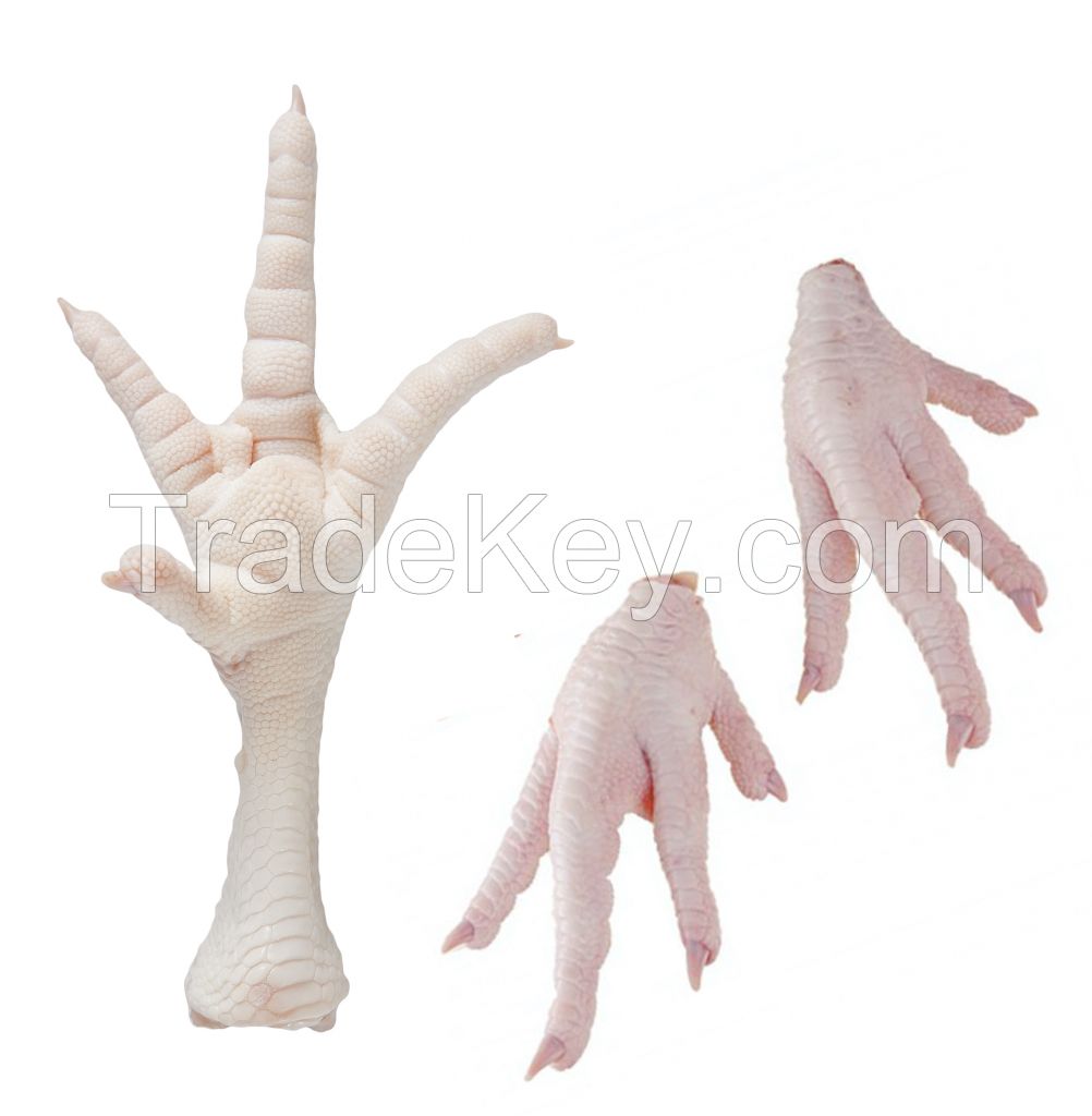 Chicken Feet / Frozen Chicken Paws Brazil/ Chicken mid-joint wings Poland