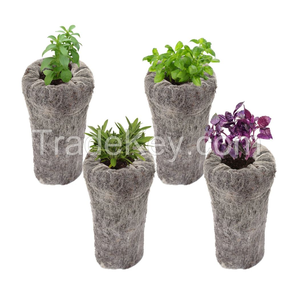 PLANT GROWING KIT