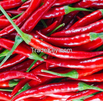 Red chili