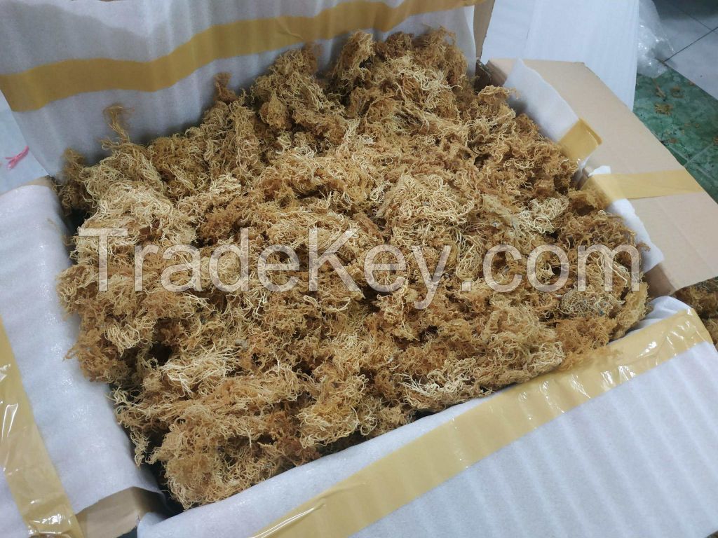 High Quality Sea Moss/Dried Eucheuma Cottonii Seaweed Best Price/Selena