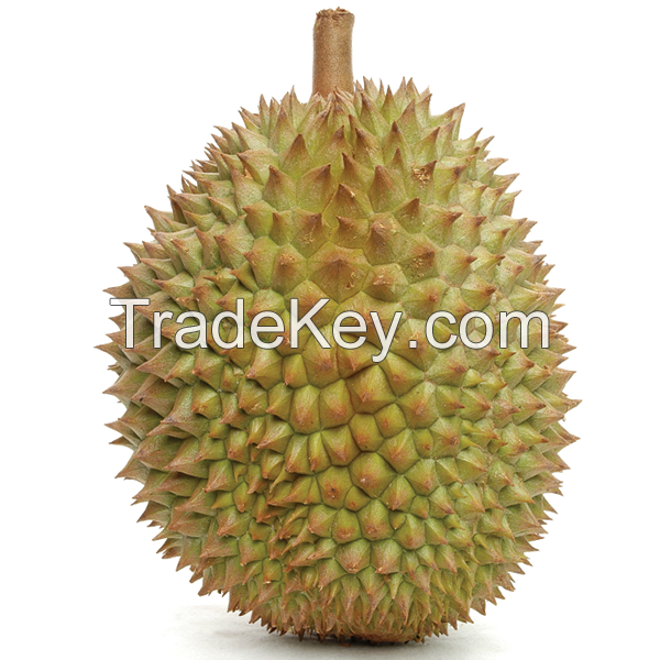 Fresh and Sweet Durian in Whole from Vietnam supplier