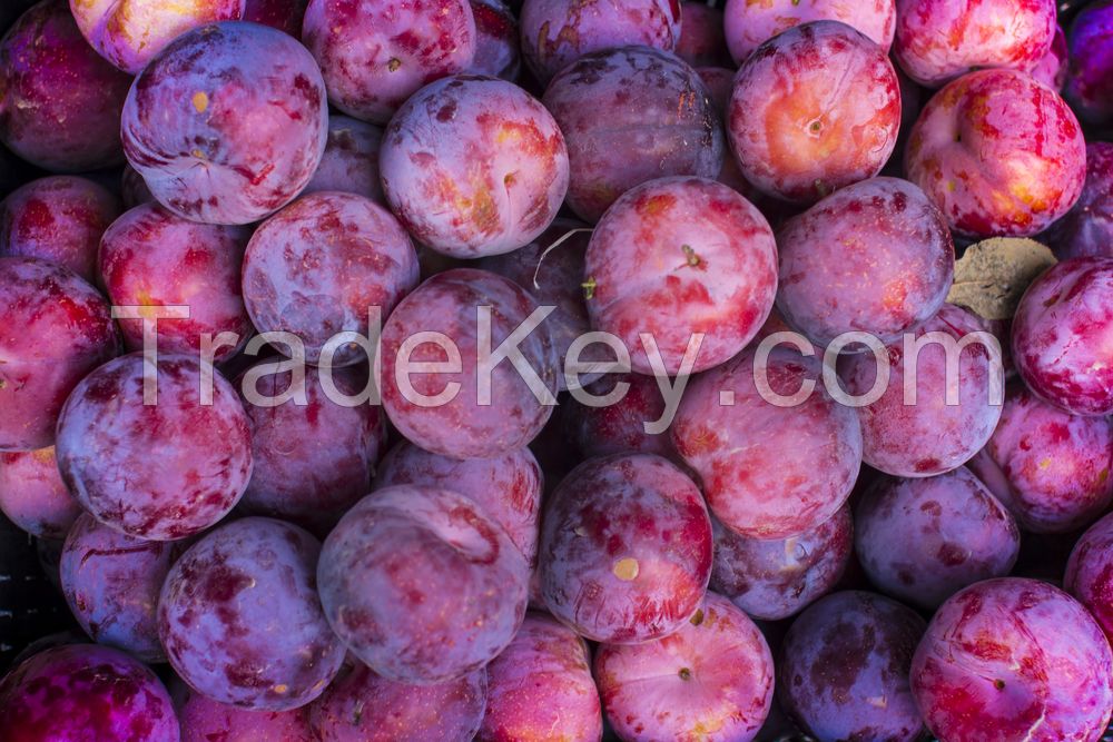 Pickled Plum Recipe: A Timeless Technique to Enhance Culinary Delights