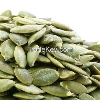 Pumpkin Seed