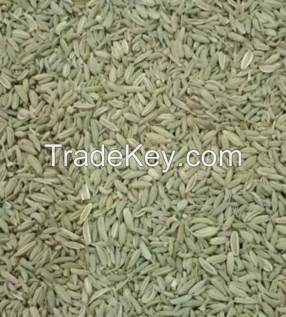 High quality cumin seeds and fennel seeds