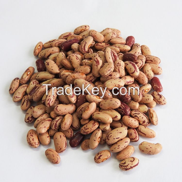 south Africa Light Speckled Kidney Beans