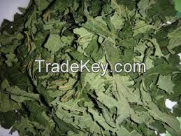 High quality DRIED PAPAYA LEAVES