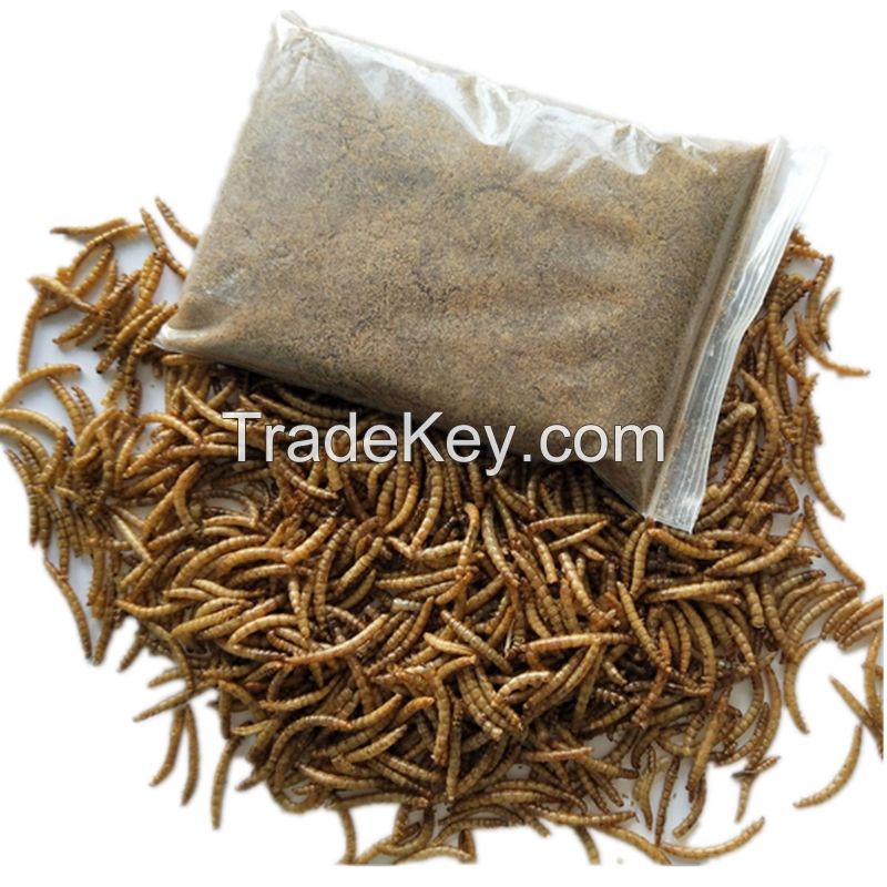 high protein dried mealworm poultry feed