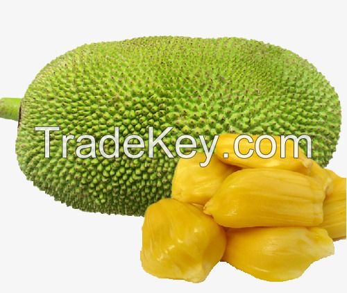 New crop fresh Jack Fruit