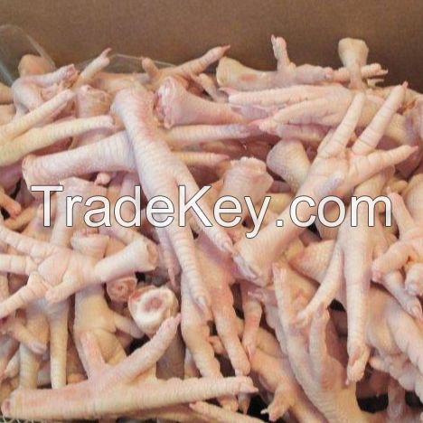 Quality Chicken Feet / Chicken Paws