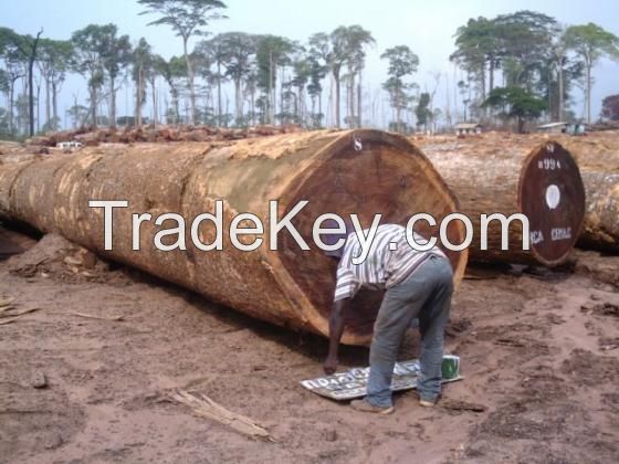 Bubinga Timber Large Logs and Lumber for Ready for Sale