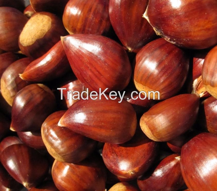 Chestnuts for sale