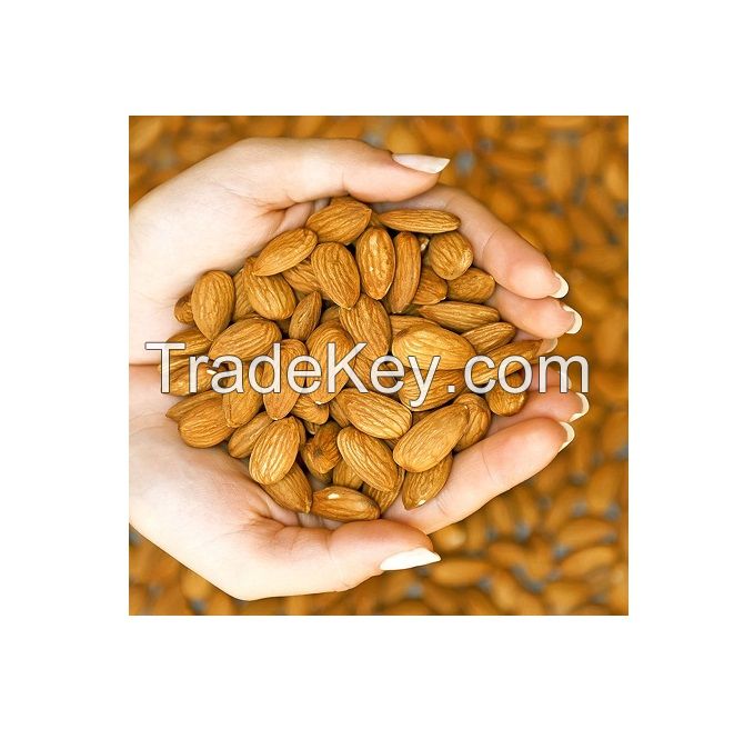 Almonds Nuts for sale