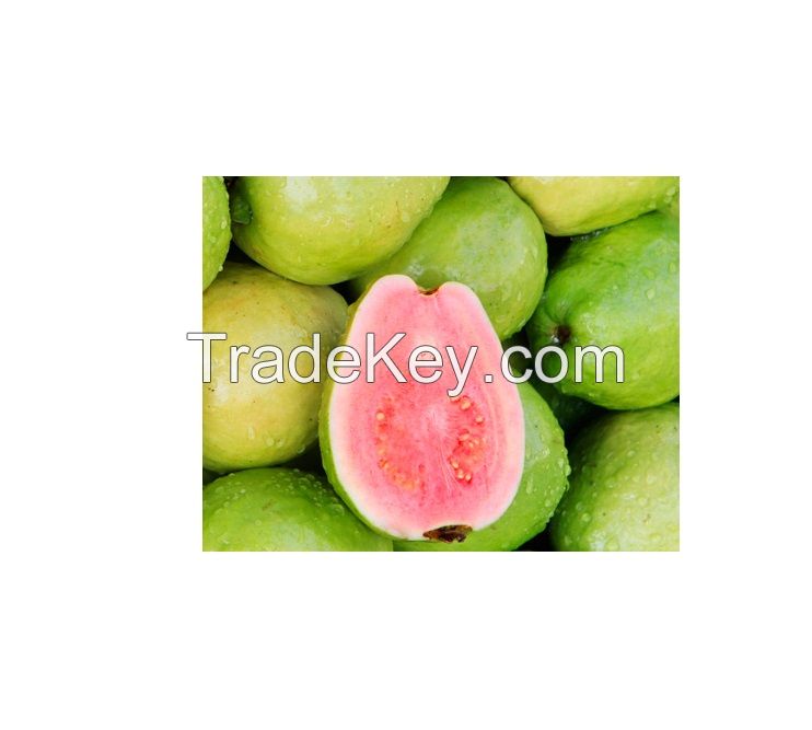 Fresh Guava for sale