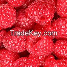 Fresh Raspberry