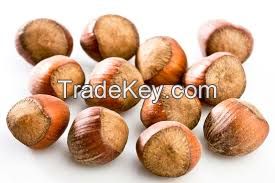 Hazelnuts