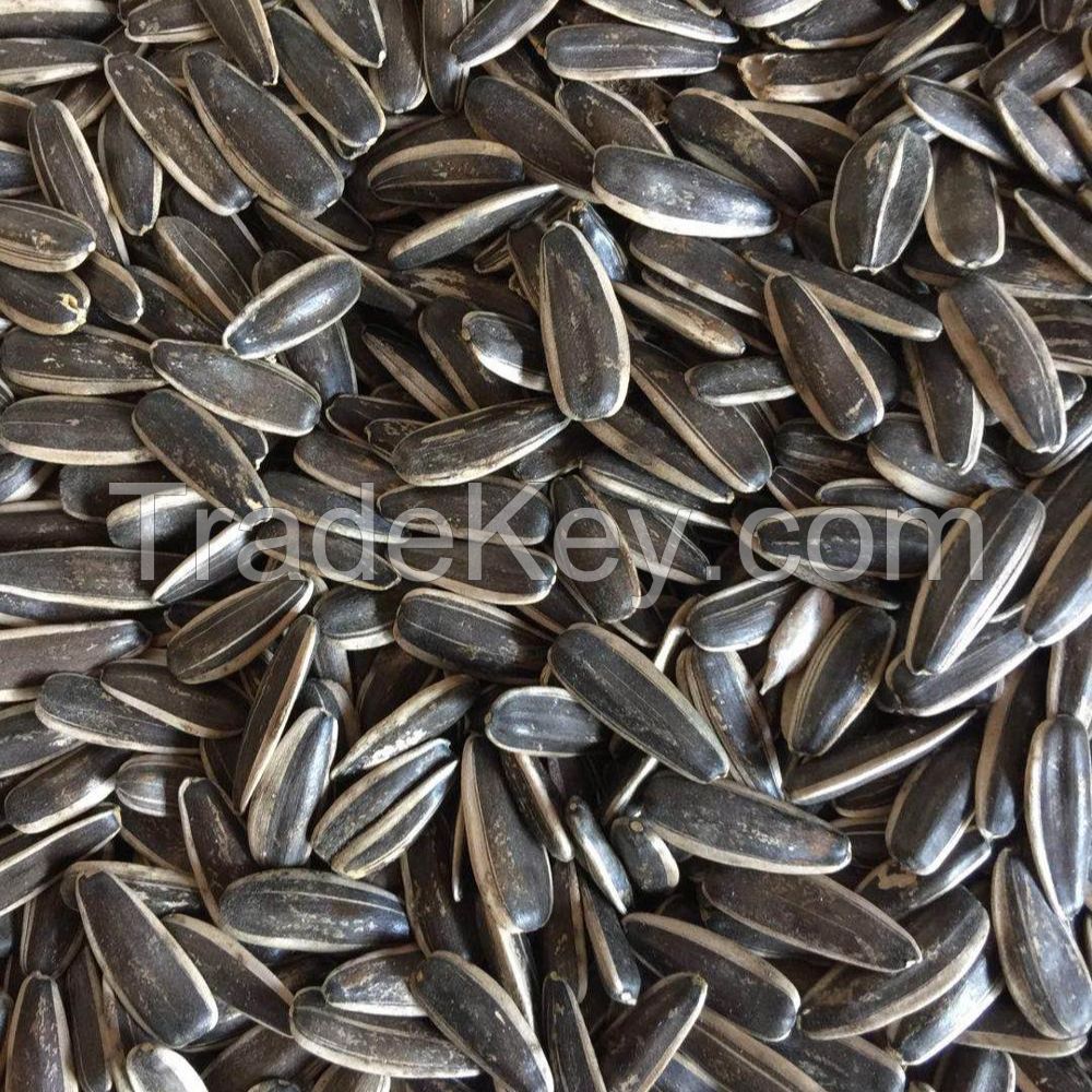 Sunflower Seeds