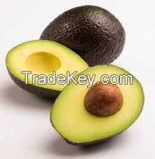 Fresh Hass Avocado