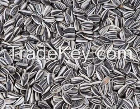 Sunflower seed