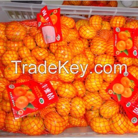 Fresh Oranges