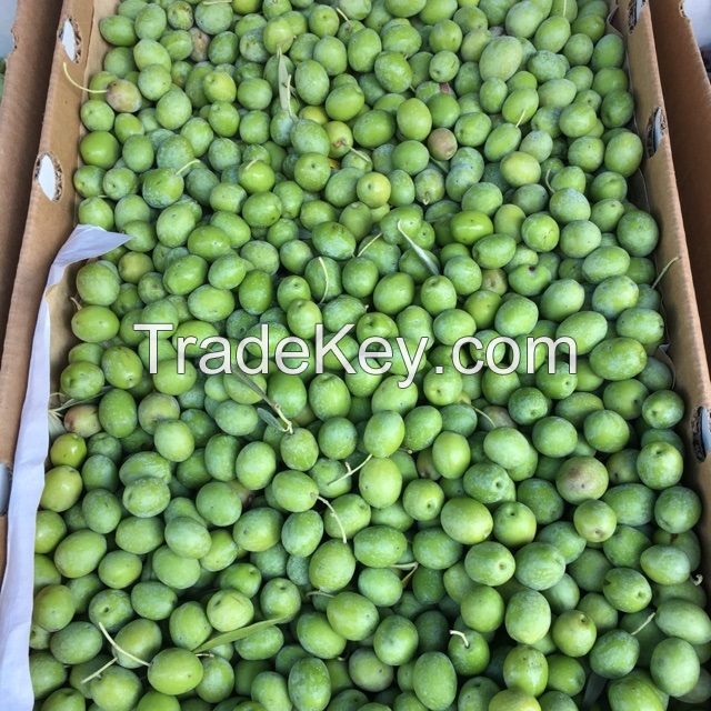 Fresh Olives