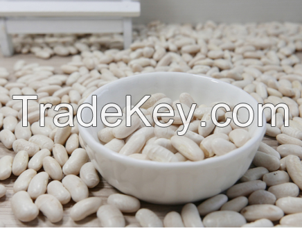 White Kidney Beans