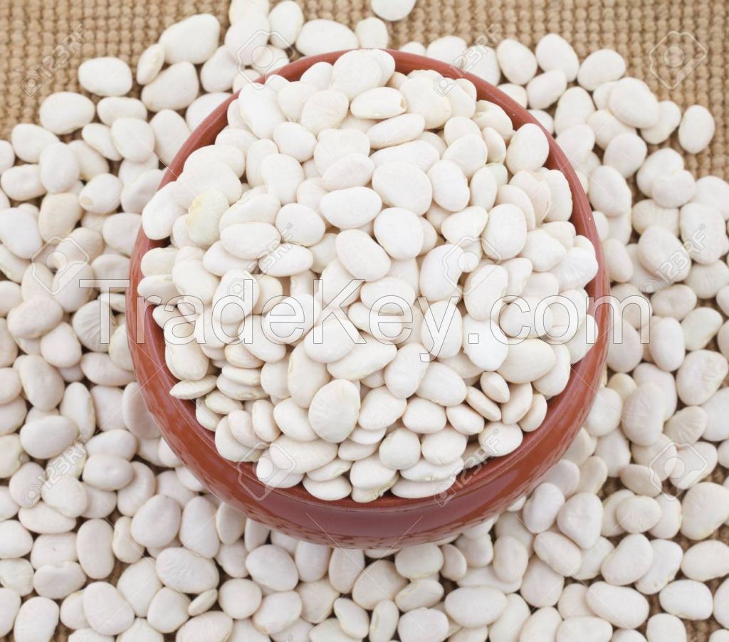 Good Price Best Quality Butter Beans From South Africa