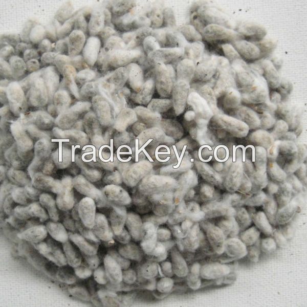 High Quality Cotton Seeds