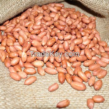 Good Quality Raw Peanut Kernel