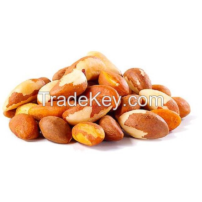 Brazil Nuts Wholesale