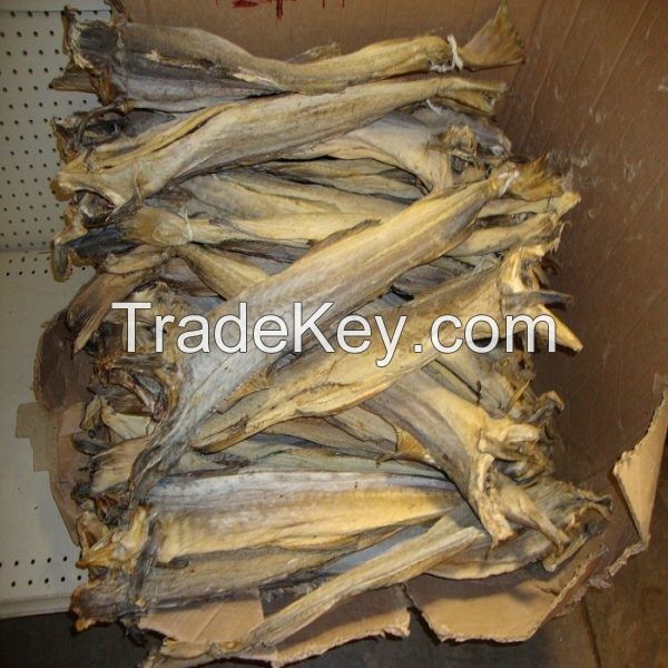 Dry Stock Fish