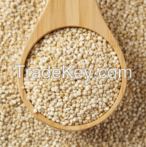 Quinoa Seeds