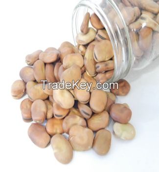 Dried Broad Beans Fava Beans