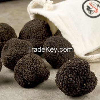 Black Truffle for sale