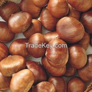 High Quality Fresh Chestnut Organic Peeled Roasted Chestnut