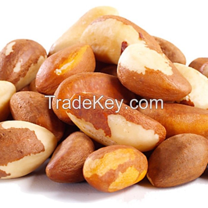 Top quality delicious brazil nuts on