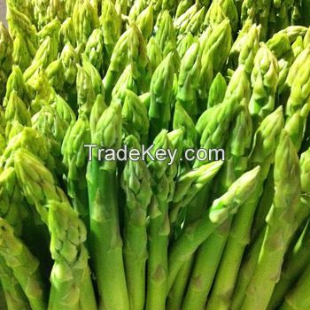 Good price high quality fresh green asparagus