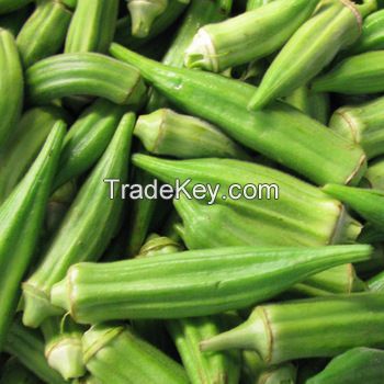 Fresh Vegetable Okra Supplier