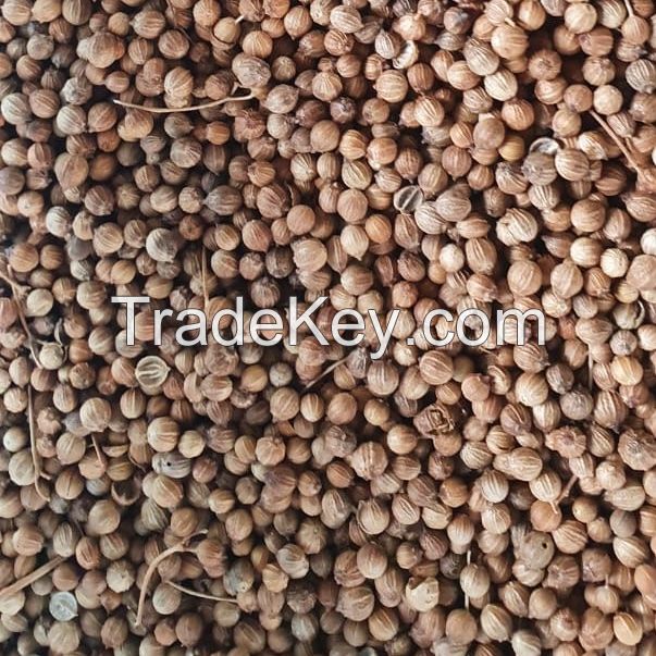 Coriander Seeds