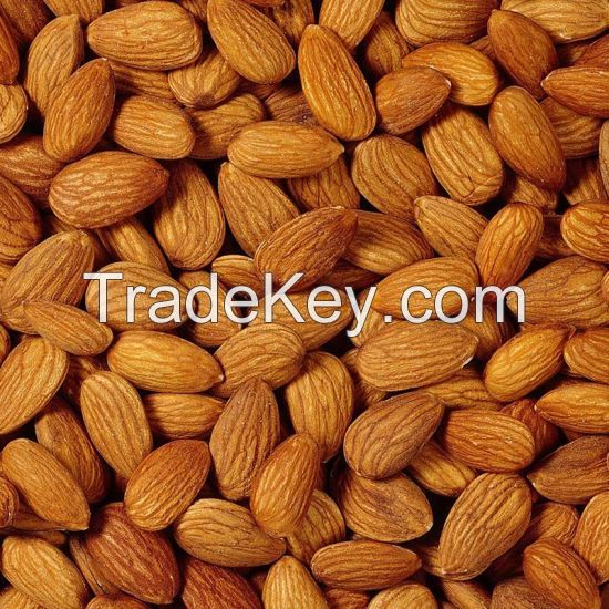 High Quality Almonds Nut