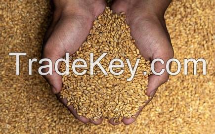 MILLING WHEAT WITH HIGH QUALITY