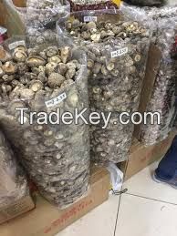 DRIED MUSHROOM