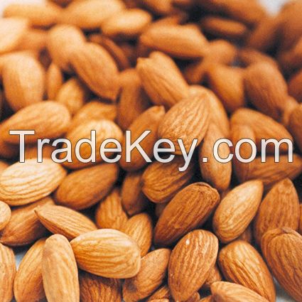 Top Grade Almonds - Almond Nuts - Raw Bitter and Sweet Kernels