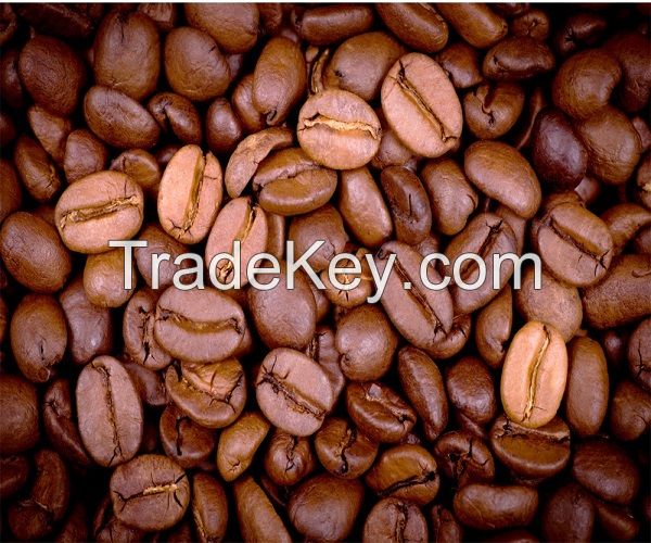 AA grade Wholesaler Dried arabica coffee beans/green coffee