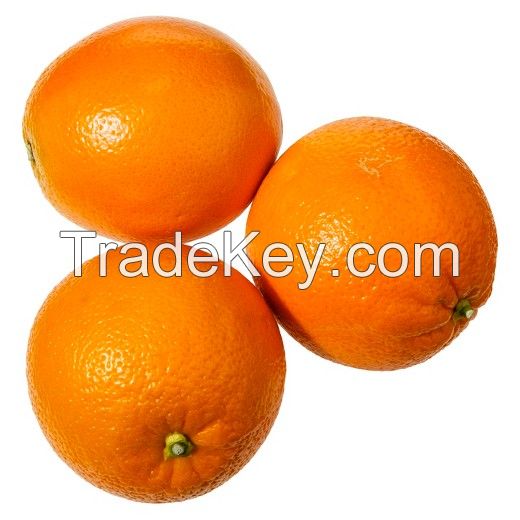 Best Oranges for sale