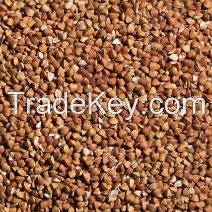 Good Roasted Buckwheat