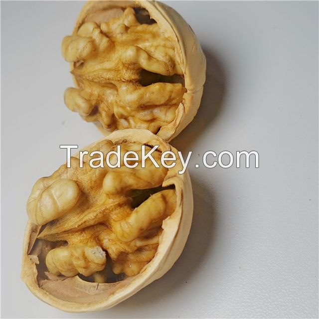 High quality natural organic food skin in shell bulk shell kernels walnuts