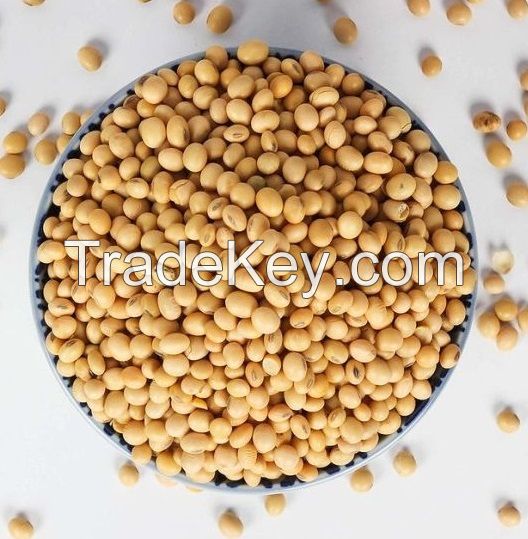 High Quality Non GMO Yellow Soybeans - Soybeans /Soya Bean (8.0mm) with High Quality for offer now